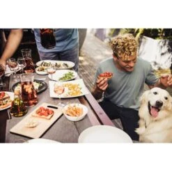 Campingaz Attitude 2100 EX, Gasgrill (schwarz, Mit Culinary Modular System) -Campingaz Campingaz Attitude 2100 EX Gasgrill@@1crcm00w 17