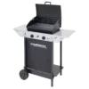 Campingaz Xpert 100 L Grillen